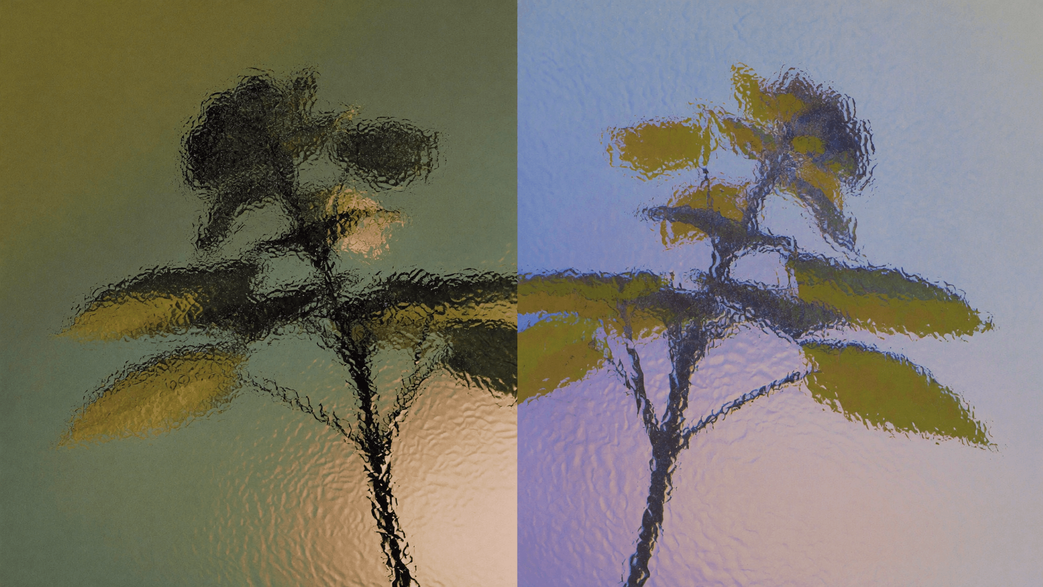 02 사건과 맥락 사이